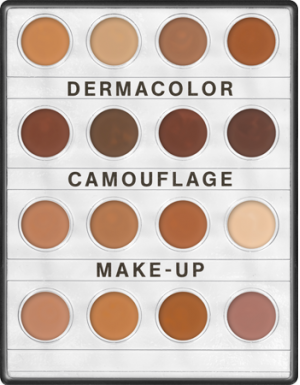 mini palette dermacolor dark